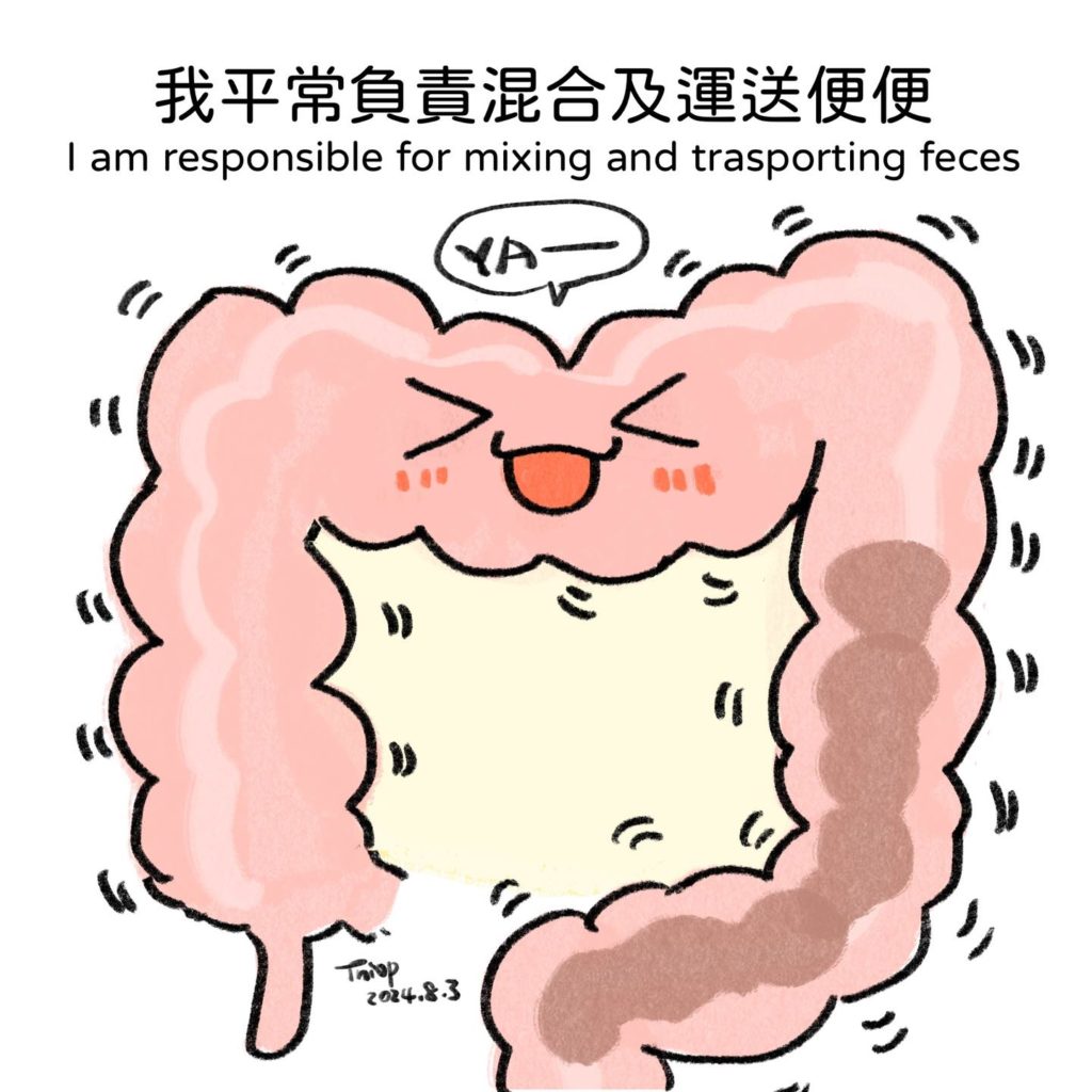 多運動腸保健康 2